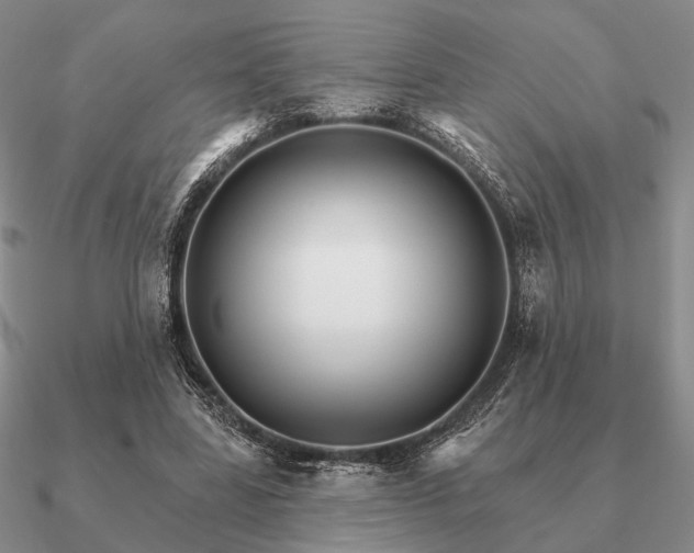 X0000090910539200708061524