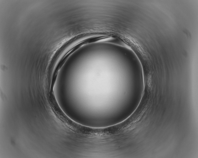 X0000090910540200708061524