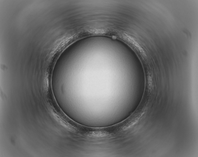 X0000090910541200708061524