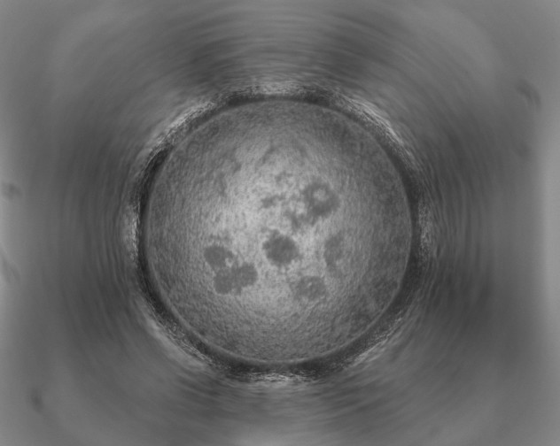 X0000090910542200708061524