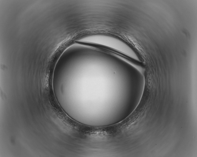 X0000090910543200708061524