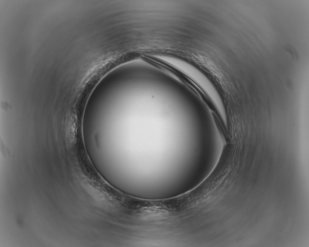 X0000090910544200708061524