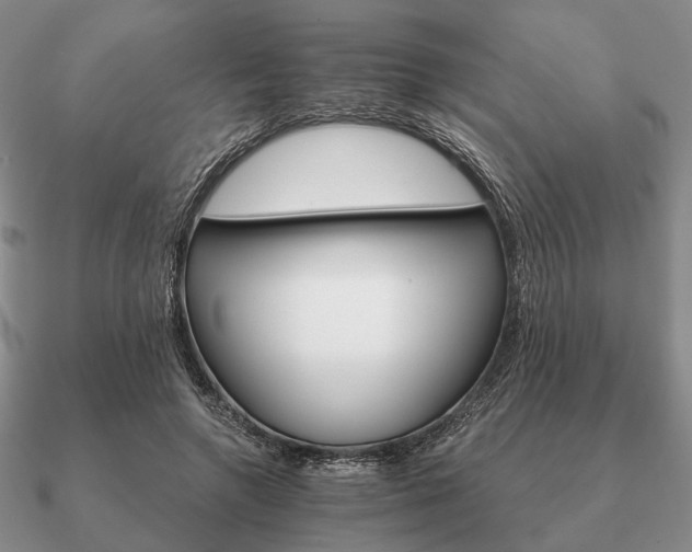 X0000090910546200708061524