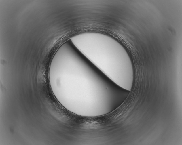 X0000090910547200708061524