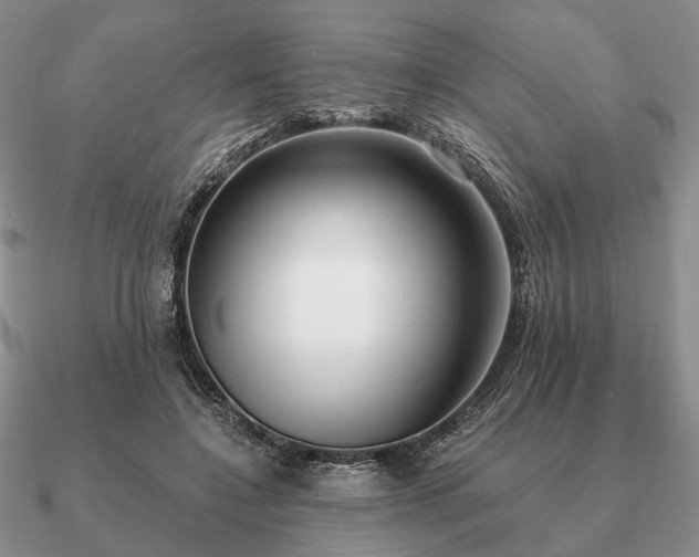 X0000090910548200708061524