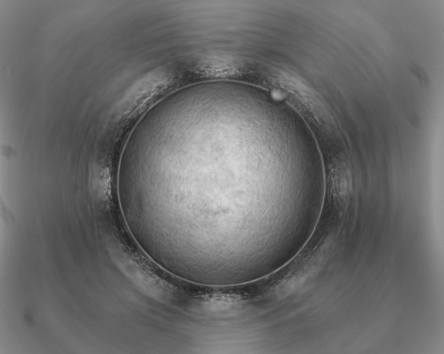 X0000090910549200708061524