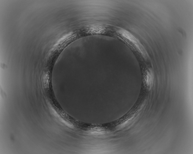 X0000090910551200708061524