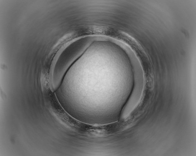 X0000090910552200708061524