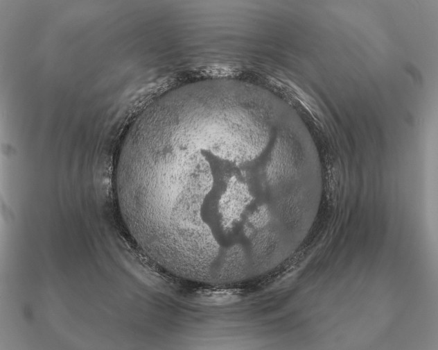 X0000090910553200708061524