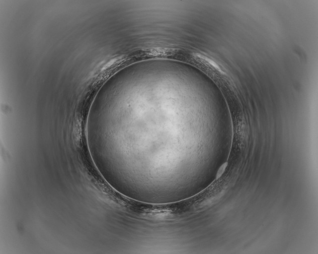 X0000090910554200708061524