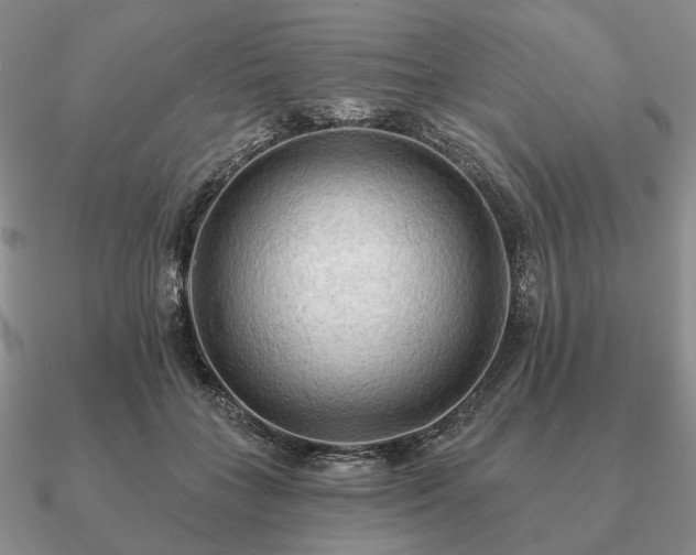 X0000090910555200708061524