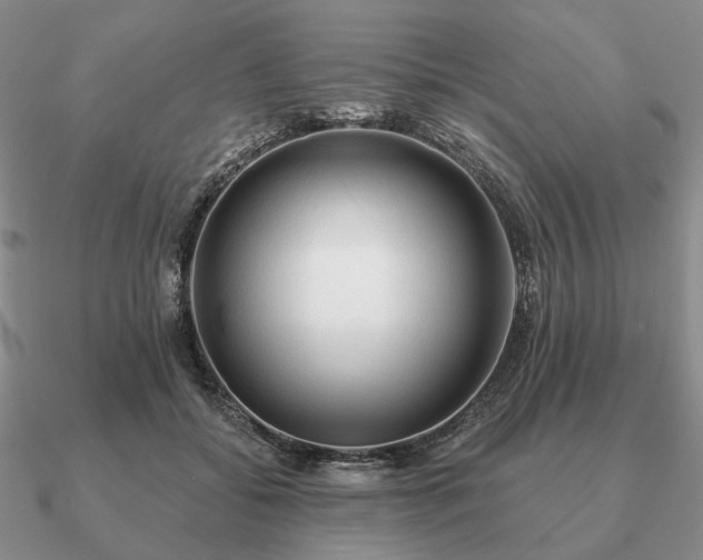 X0000090910556200708061524