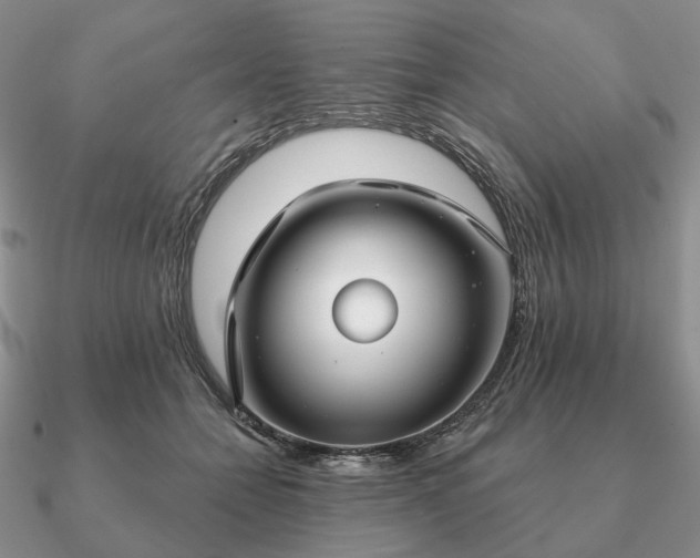 X0000090910558200708061524