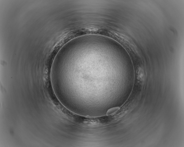 X0000090910559200708061524