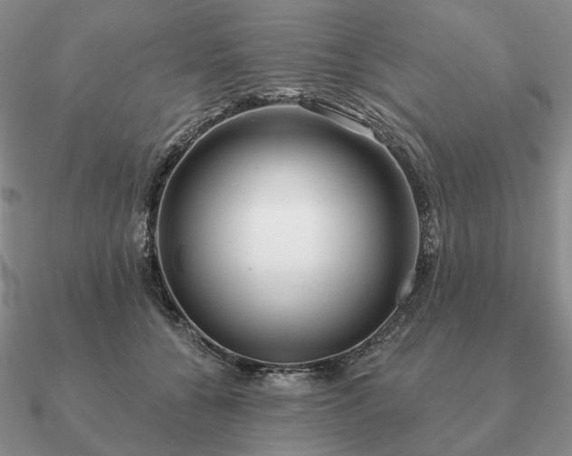 X0000090910560200708061524