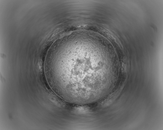 X0000090910561200708061524