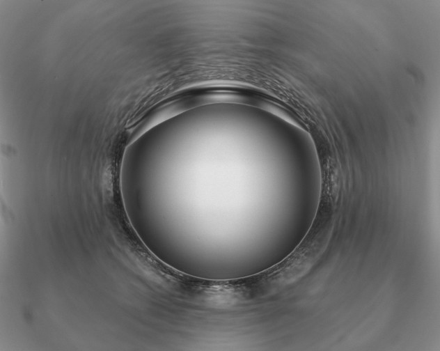 X0000090910562200708061525