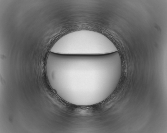 X0000090910563200708061525