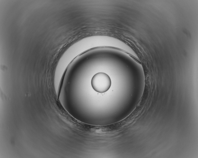 X0000090910564200708061525