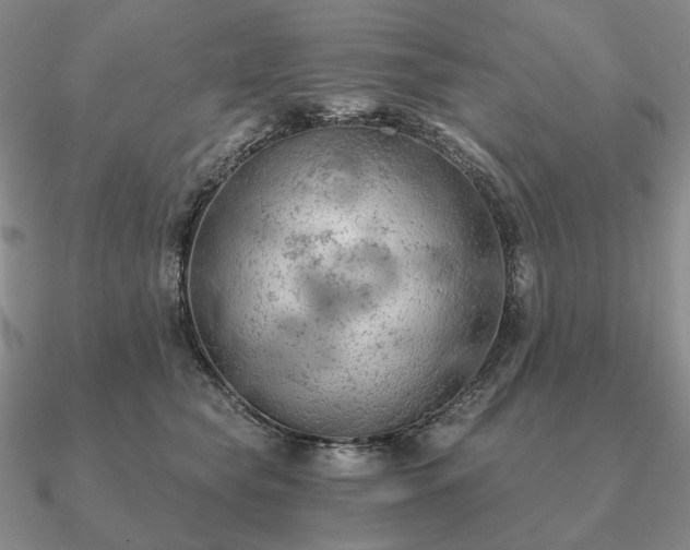 X0000090910565200708061525