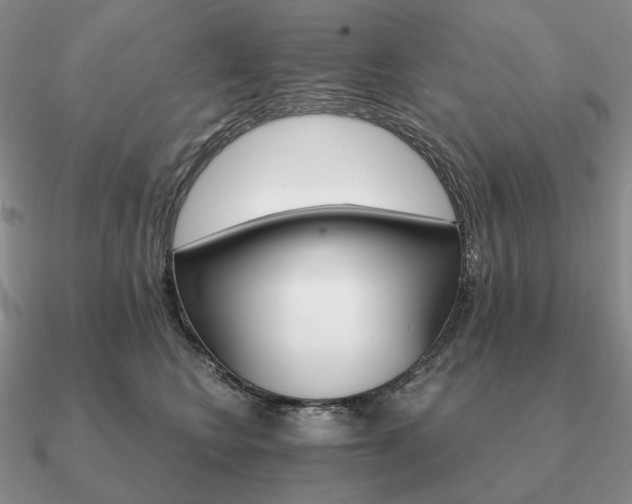 X0000090910566200708061525