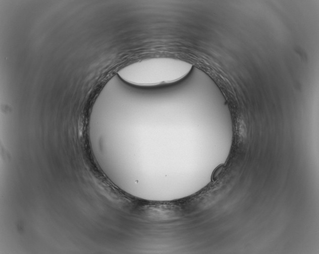 X0000090910567200708061525