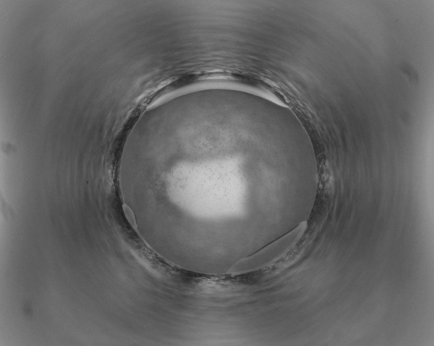 X0000090910568200708061525