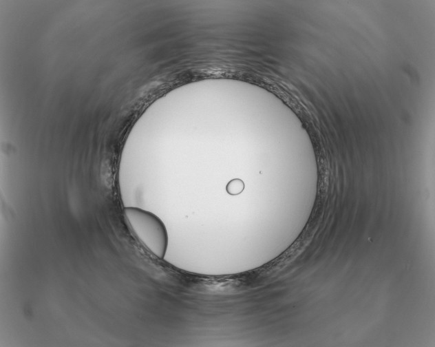 X0000090910569200708061525