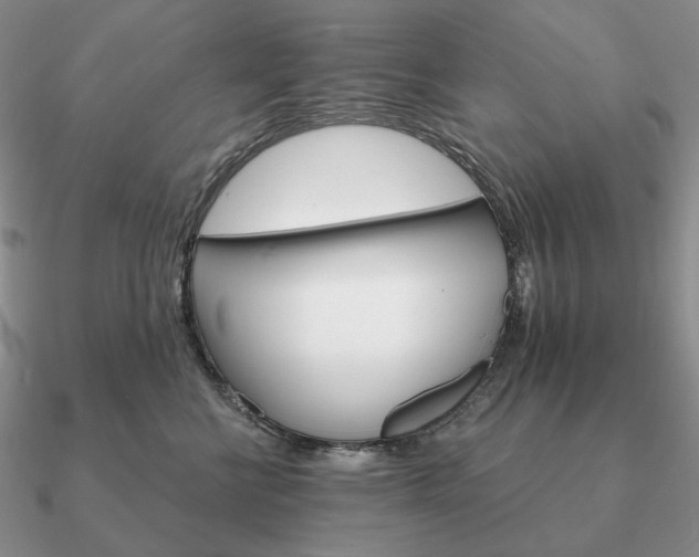 X0000090910570200708061525