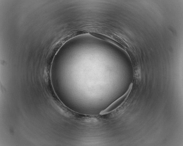 X0000090910572200708061525