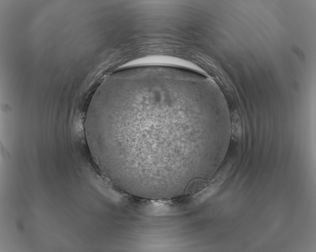 X0000090910573200708061525