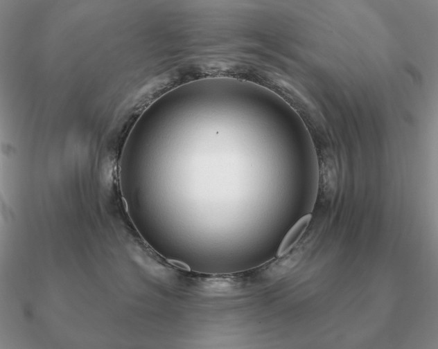 X0000090910574200708061525