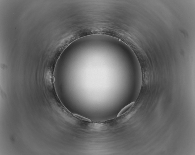 X0000090910575200708061525