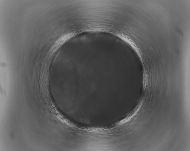 X0000090910577200708061524