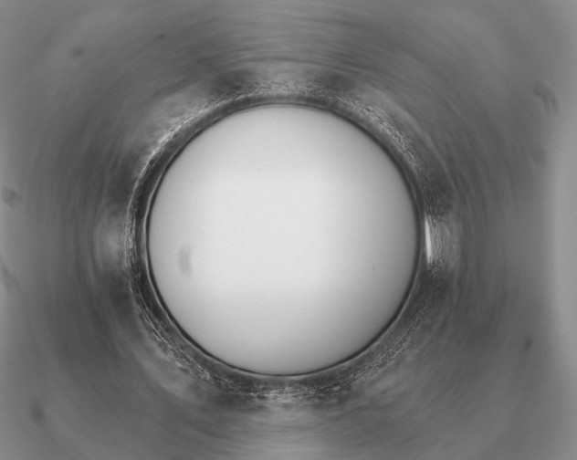 X0000090910579200708061524