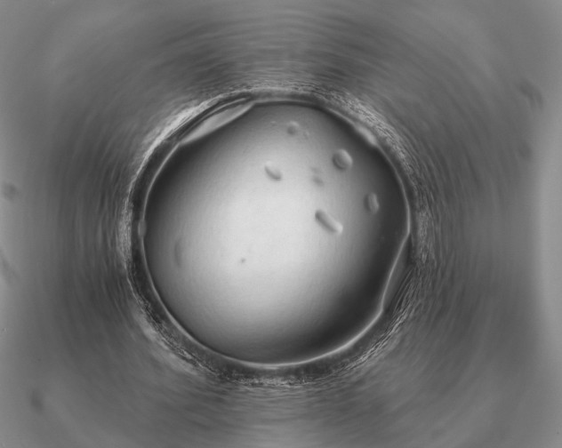 X0000090910580200708061524