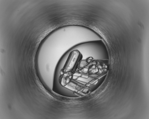 X0000090910581200708061524