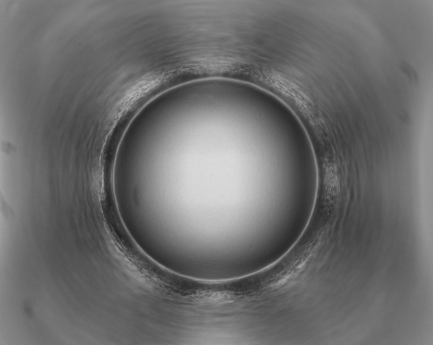 X0000090910582200708061524