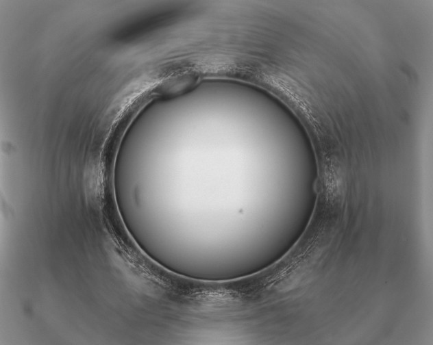 X0000090910583200708061524