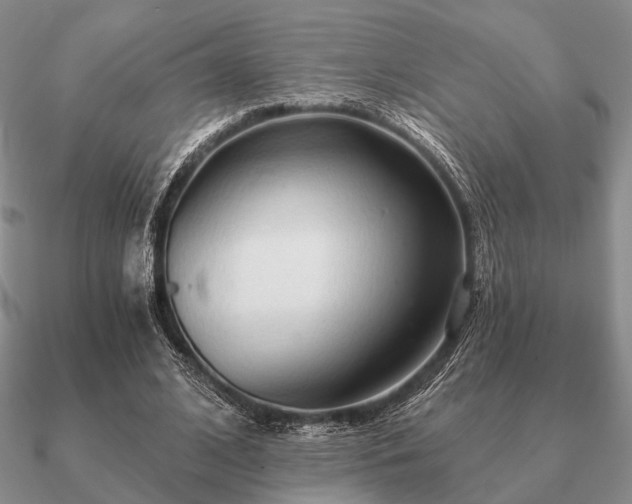 X0000090910584200708061524