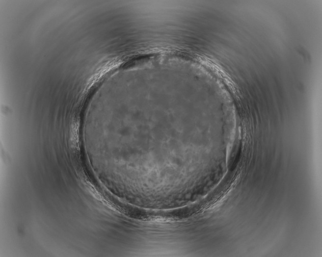 X0000090910585200708061524