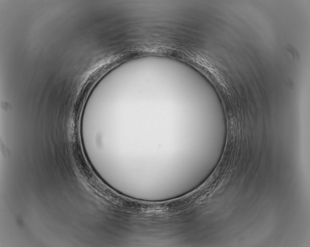 X0000090910587200708061524