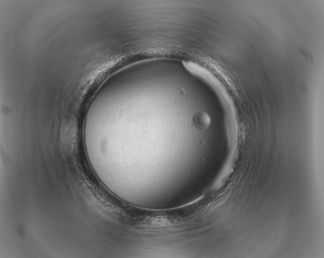 X0000090910588200708061524