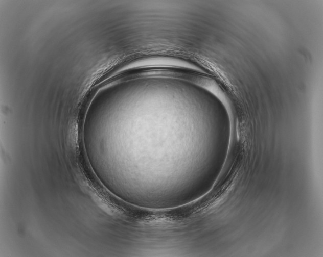 X0000090910589200708061524