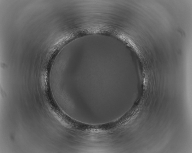 X0000090910590200708061524