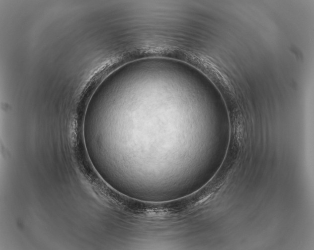 X0000090910591200708061524