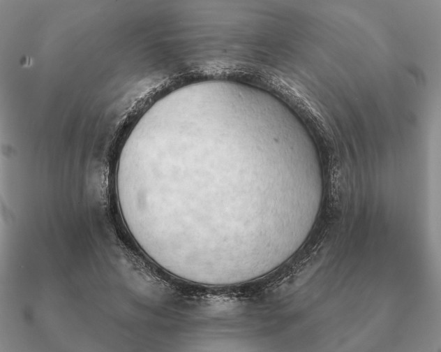 X0000090910592200708061524