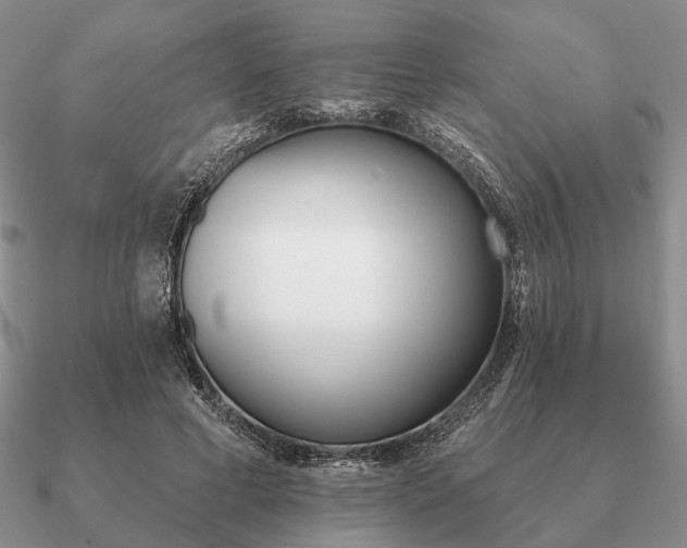 X0000090910593200708061524