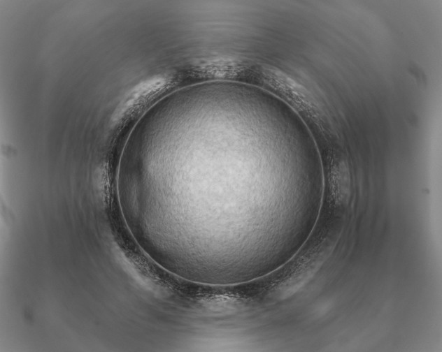 X0000090910594200708061524