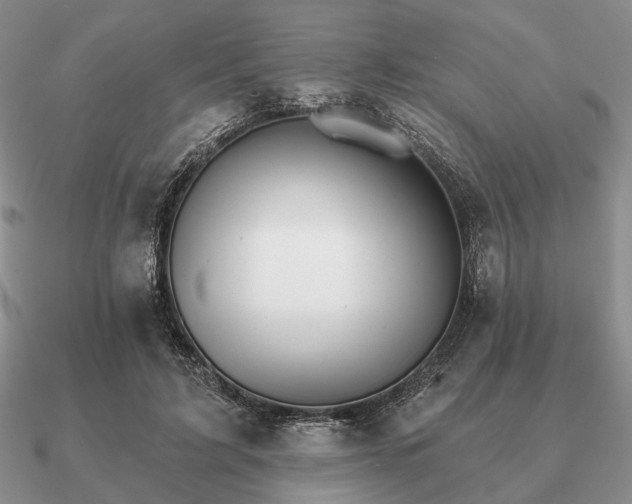 X0000090910595200708061524